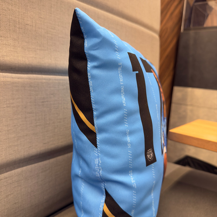 プレイヤークッション