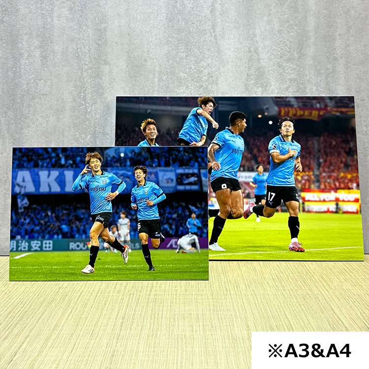 25パネル展(カップ)