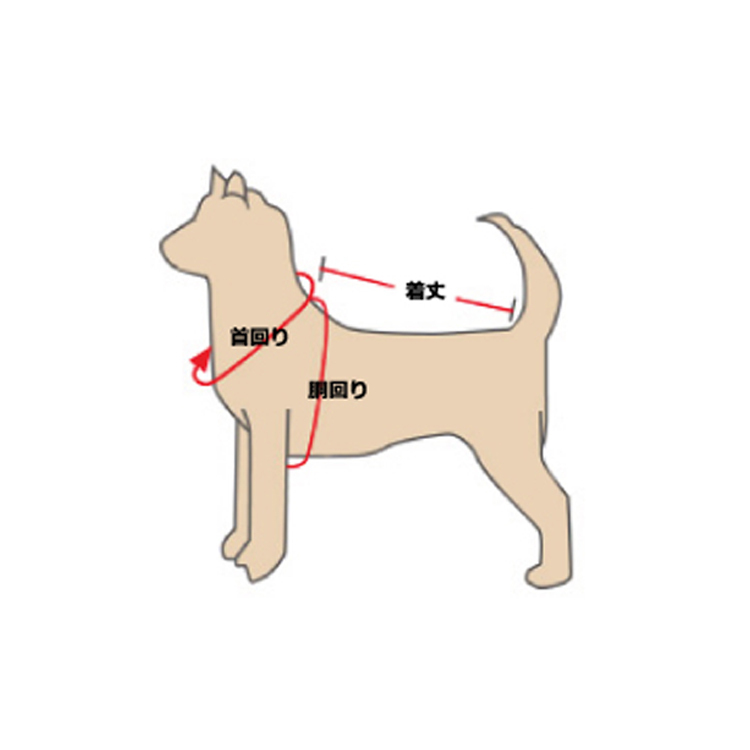 2026 ドッグウェア(GK1st)