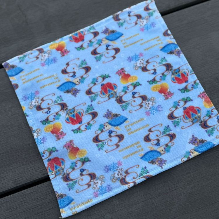 26沖縄キャンプミニタオル2枚セット