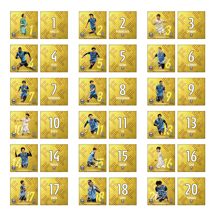 天皇杯 JFA 第103回 全日本サッカー選手権大会 優勝記念 クッション(プレイヤー)