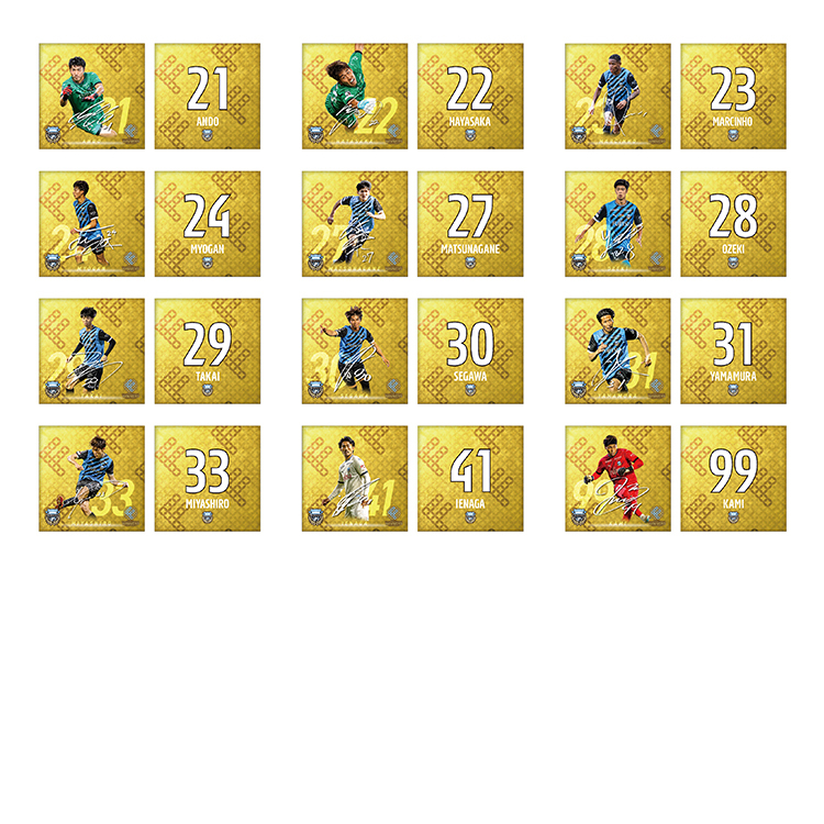 天皇杯 JFA 第103回 全日本サッカー選手権大会 優勝記念 クッション(プレイヤー)
