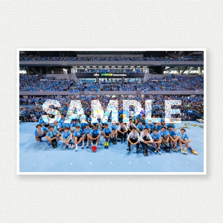 ファン感のサンプル画像