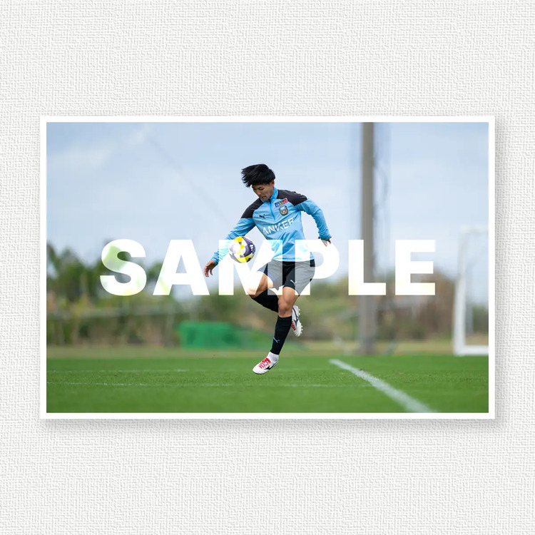 キャンプのサンプル画像