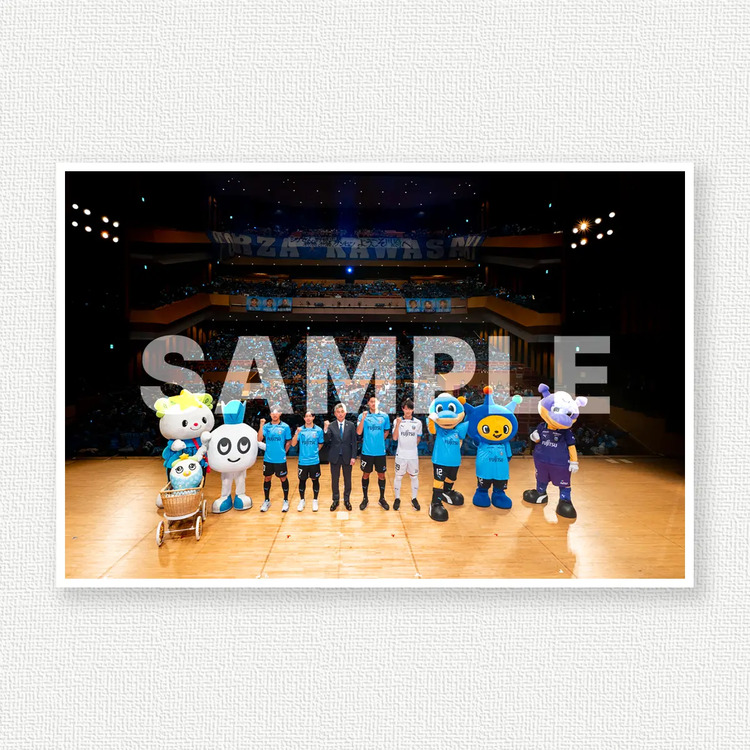 新体制のサンプル画像