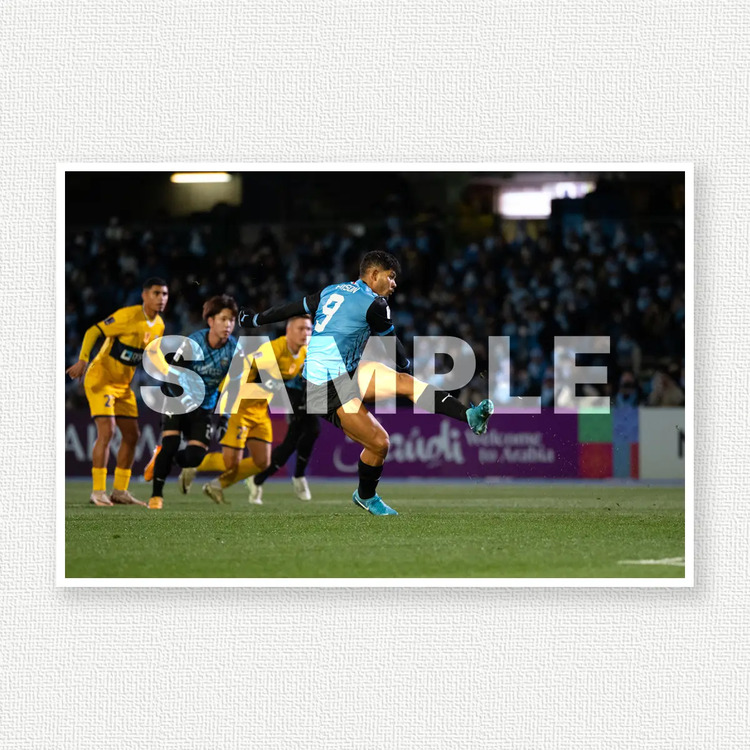 MD8 vsセントラルコースト・マリナーズのサンプル画像