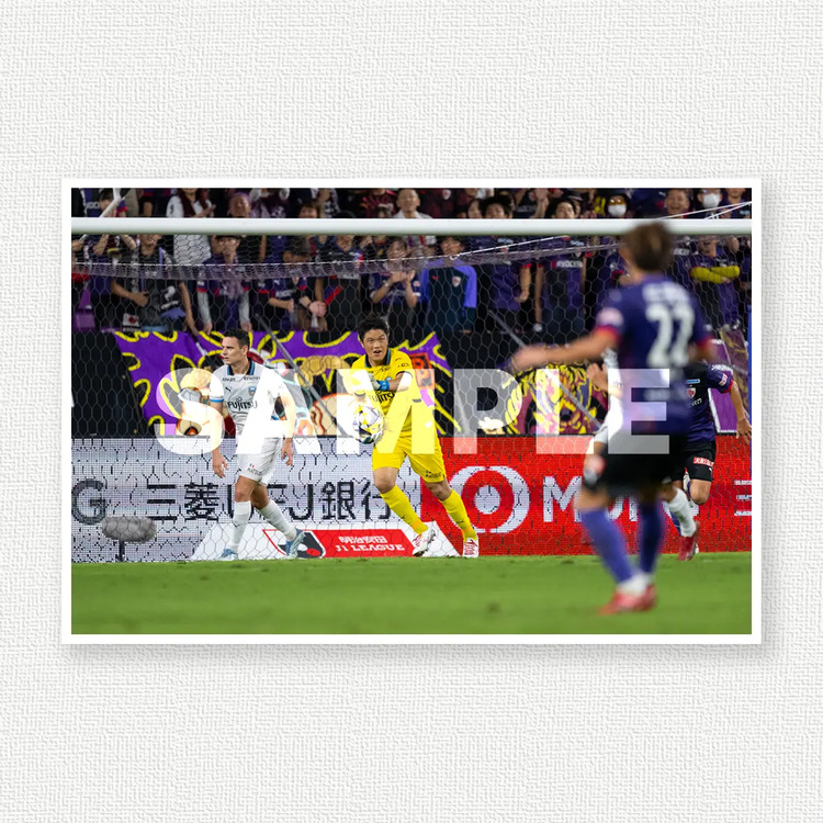 第33節 vs.京都サンガF.C.のサンプル画像