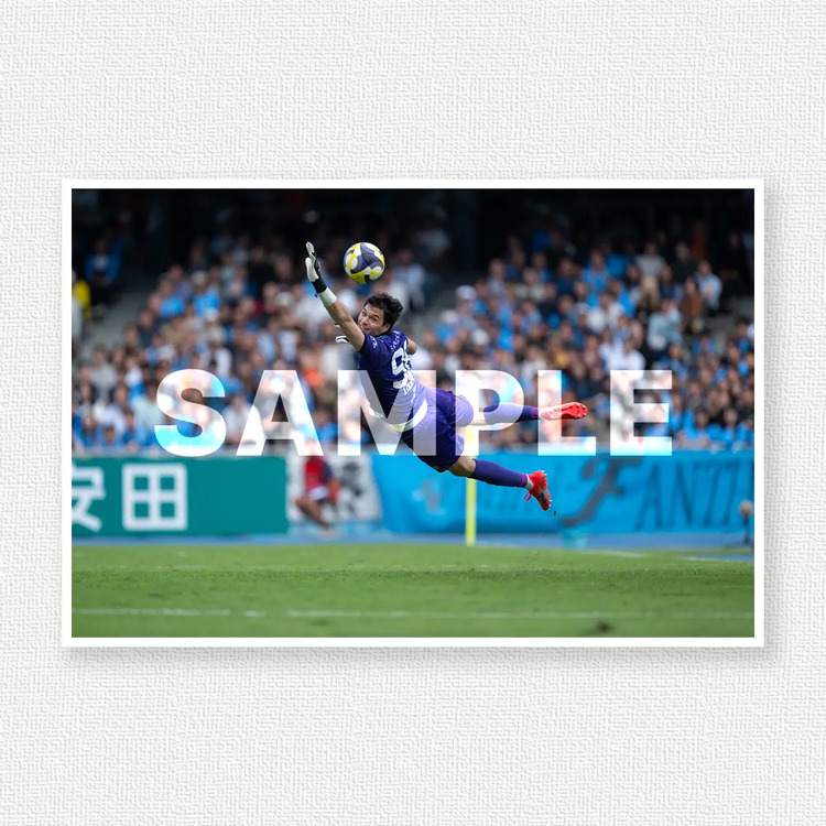 第34節 vs.清水エスパルスのサンプル画像