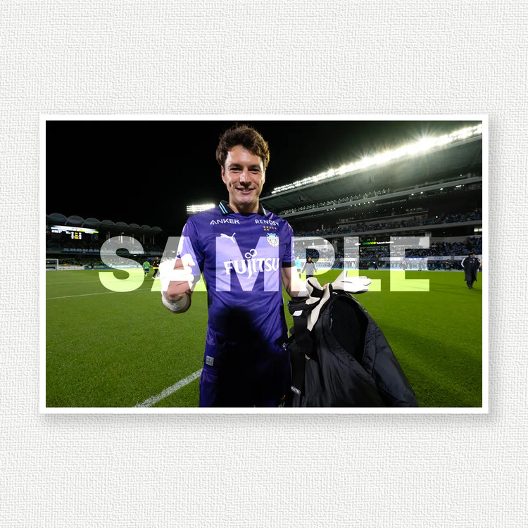 第8節 vs.湘南ベルマーレのサンプル画像