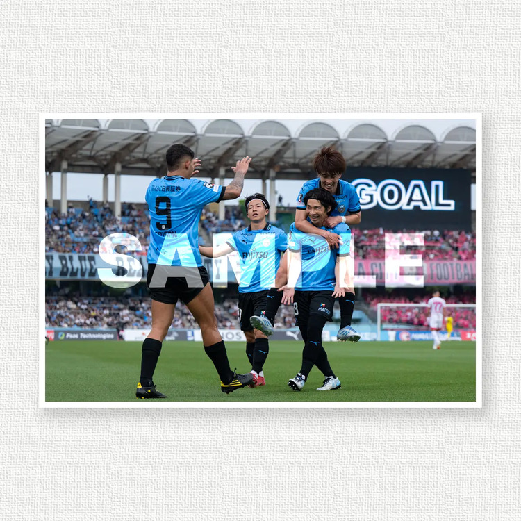 第17節 vs.セレッソ大阪のサンプル画像