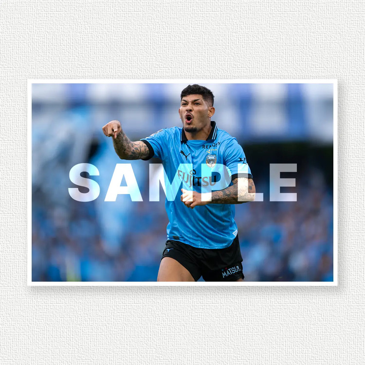 第17節 vs.セレッソ大阪のサンプル画像