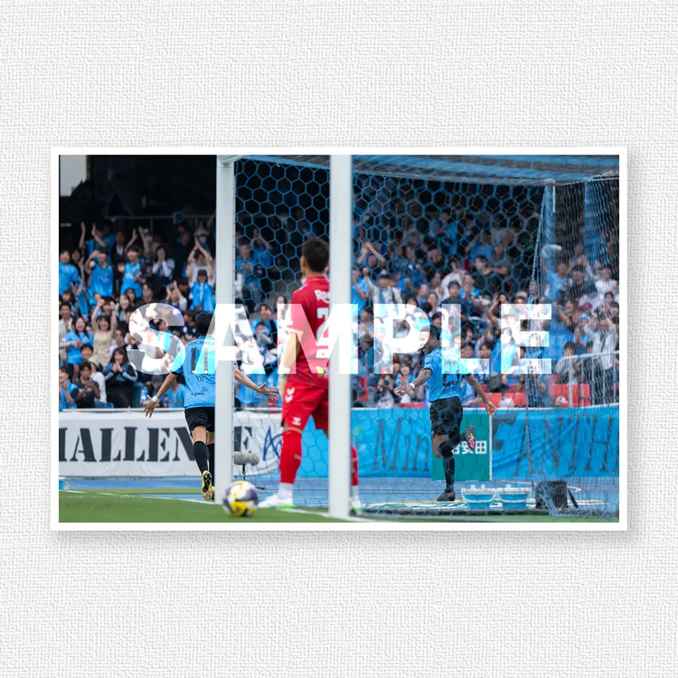 第18節 vs.ガンバ大阪のサンプル画像