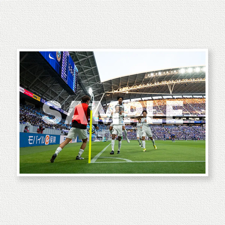 第19節 vs.サンフレッチェ広島のサンプル画像