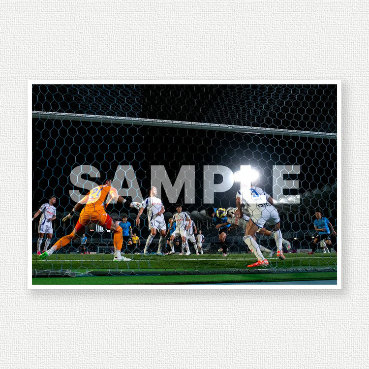 第15節 vs.アルビレックス新潟のサンプル画像