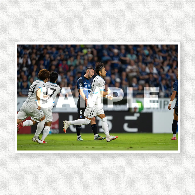 第24節 vs.ガンバ大阪のサンプル画像