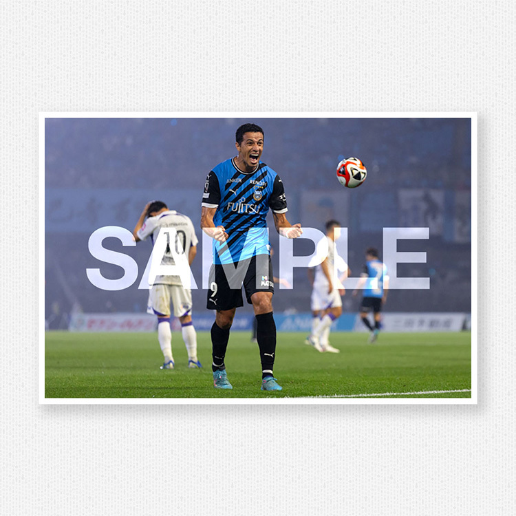 第17節vs.サンフレッチェ広島@等々力陸上競技場のサンプル画像