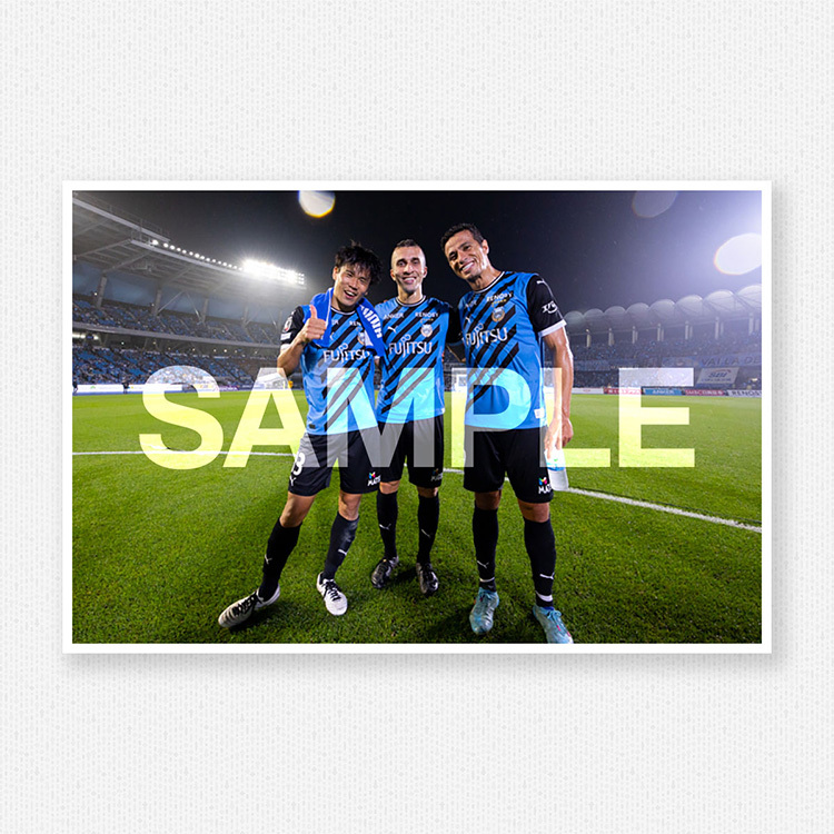 第17節vs.サンフレッチェ広島@等々力陸上競技場のサンプル画像