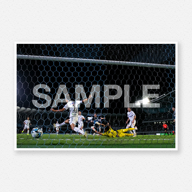 第22節vs.ガンバ大阪@等々力陸上競技場のサンプル画像