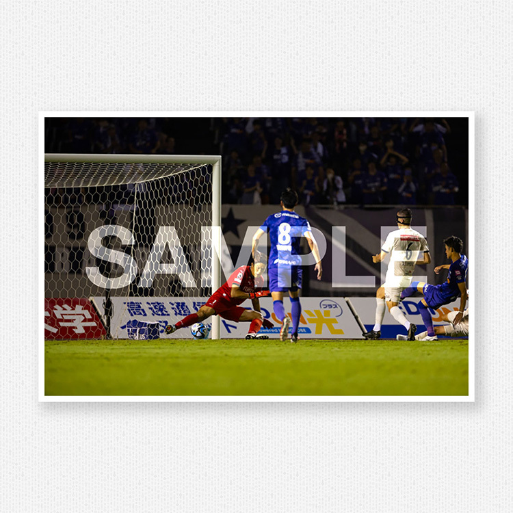 第24節vs.サンフレッチェ広島@エディオンスタジアム広島のサンプル画像