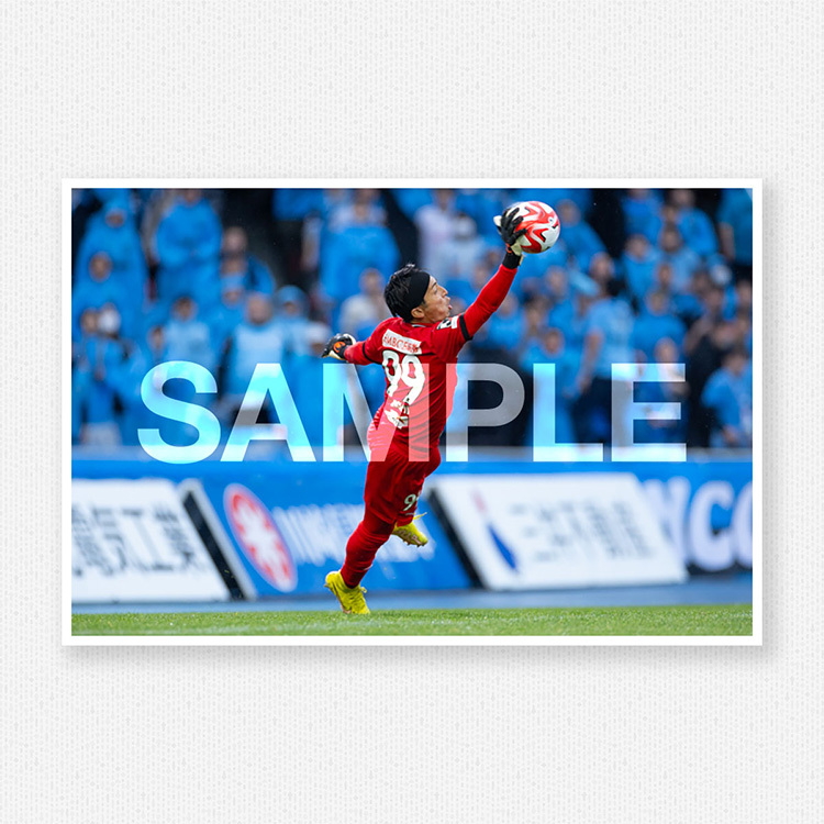 ルヴァンカップ第2節vs.湘南ベルマーレ@等々力陸上競技場のサンプル画像