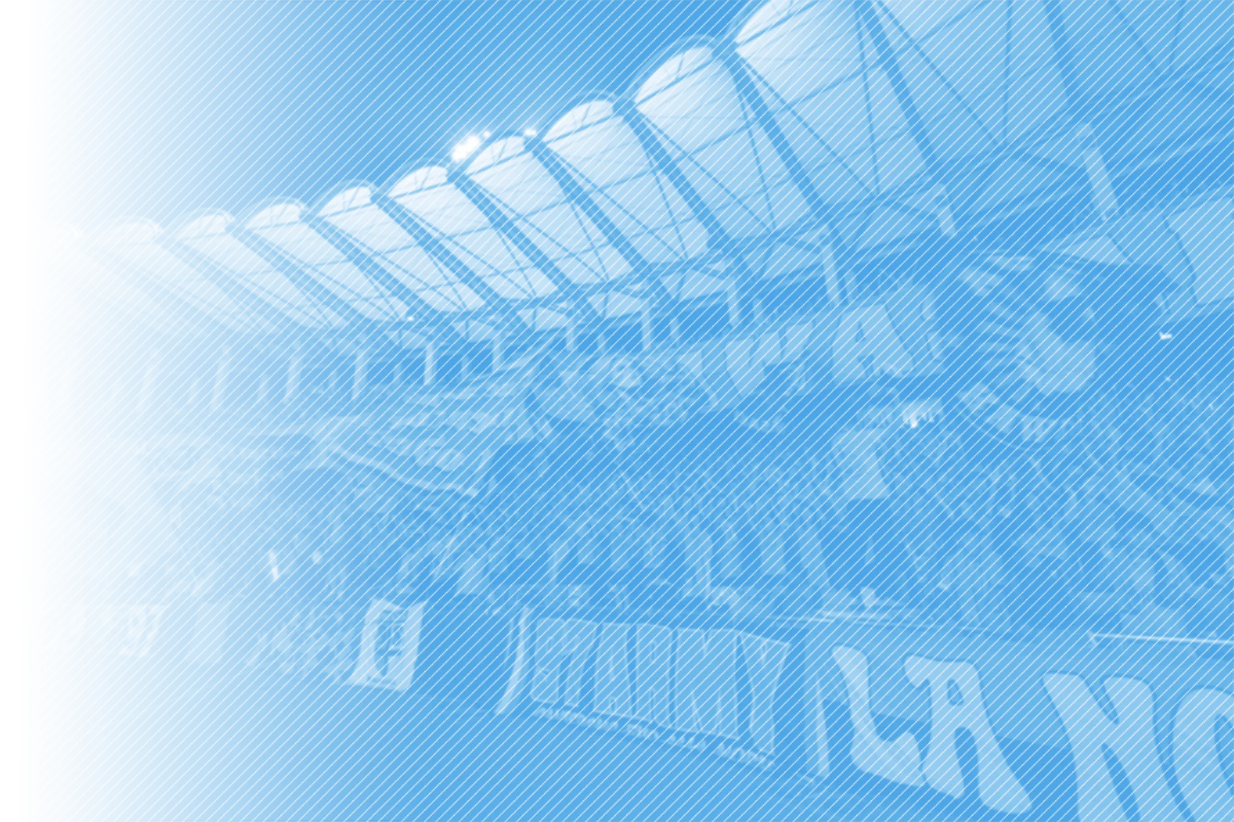 コンセプトセクション内イメージ